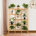 Roddy – 5-Tier Natural Wood Shelving Unit