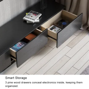 Sera TV unit - Image 17