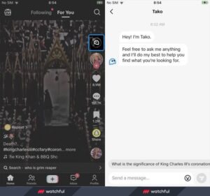 TikTok’s Testing a New ‘Tako’ AI Chatbot Experience In the App