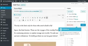 Step 13: Publish With Final SEO Checks
